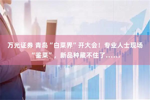 万光证券 青岛“白菜界”开大会！专业人士现场“鉴菜”，新品种藏不住了……