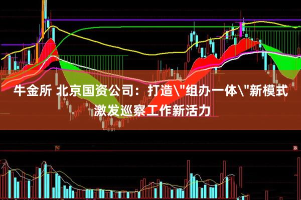 牛金所 北京国资公司：打造＂组办一体＂新模式 激发巡察工作新活力