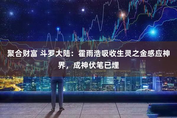 聚合财富 斗罗大陆：霍雨浩吸收生灵之金感应神界，成神伏笔已埋